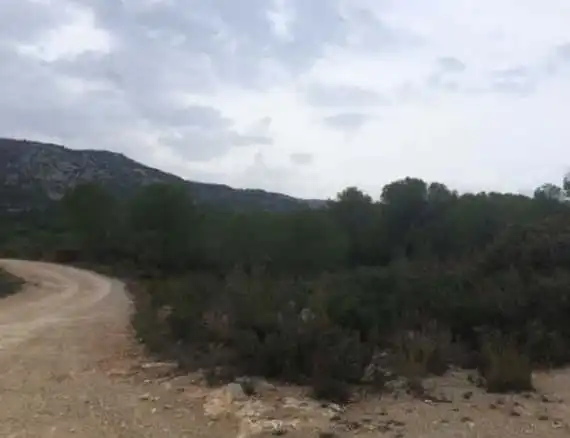 Terreny en venda en Peñíscola / Peníscola