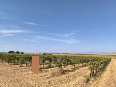 Terreno rustico in vendita a Torralba de Calatrava