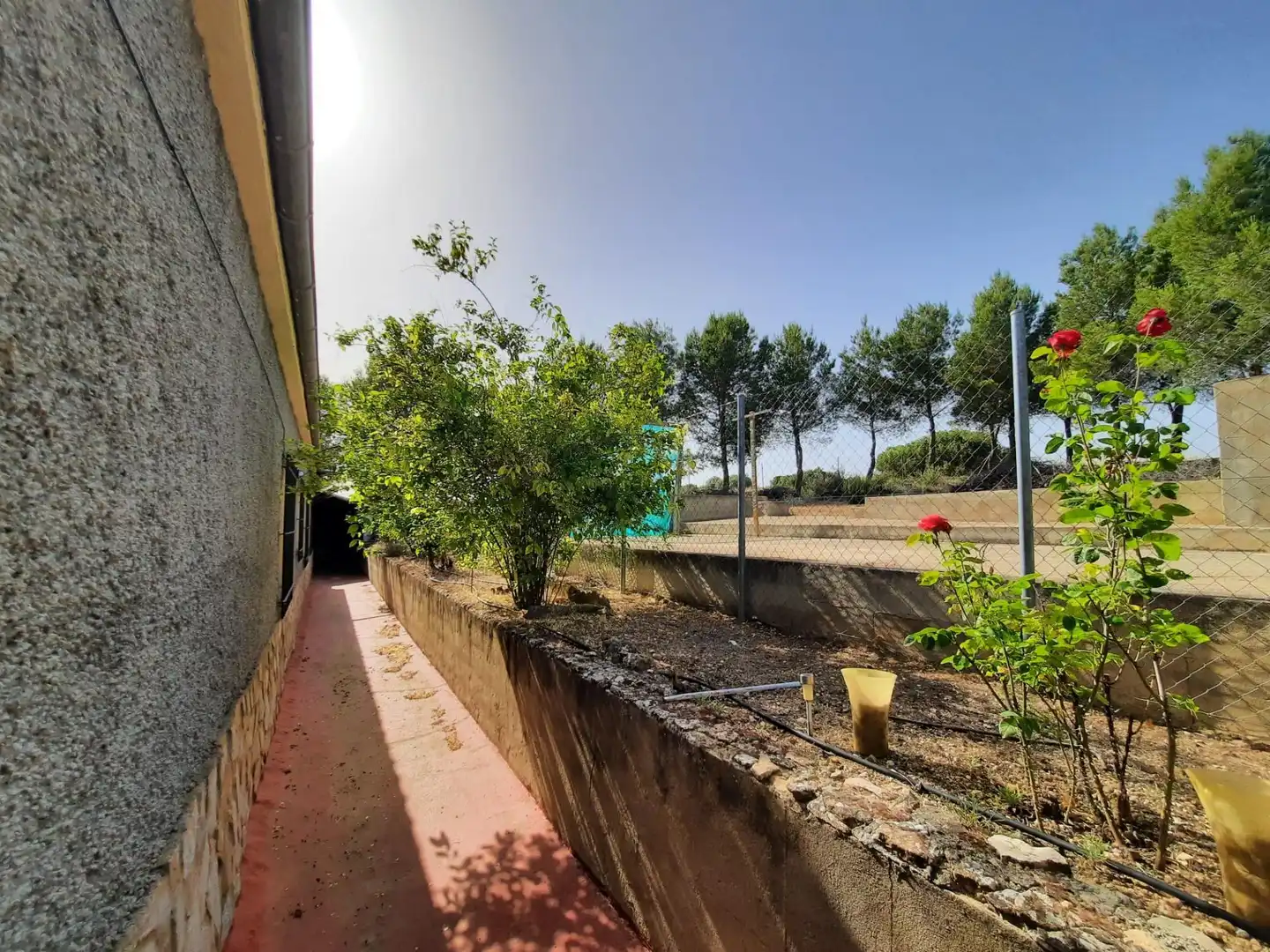 Jardín de Casa o chalet en venta en Alpera con Amueblado