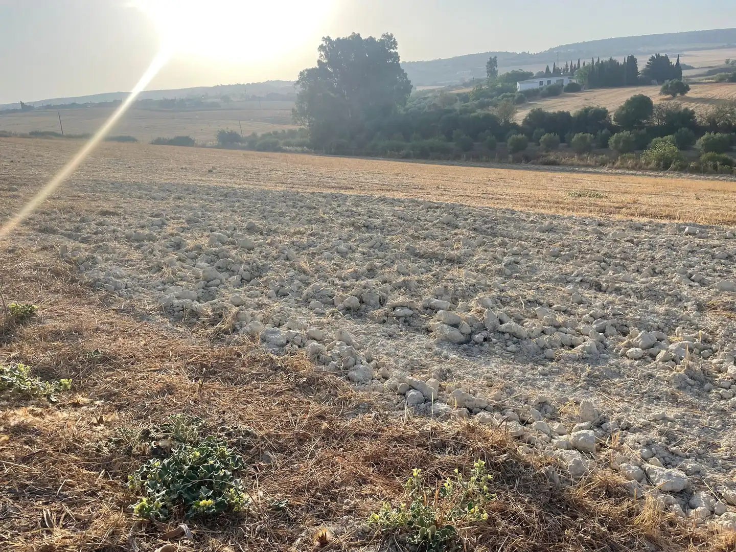 Casa rústica en venda a Arcos de la Frontera, imagen 20