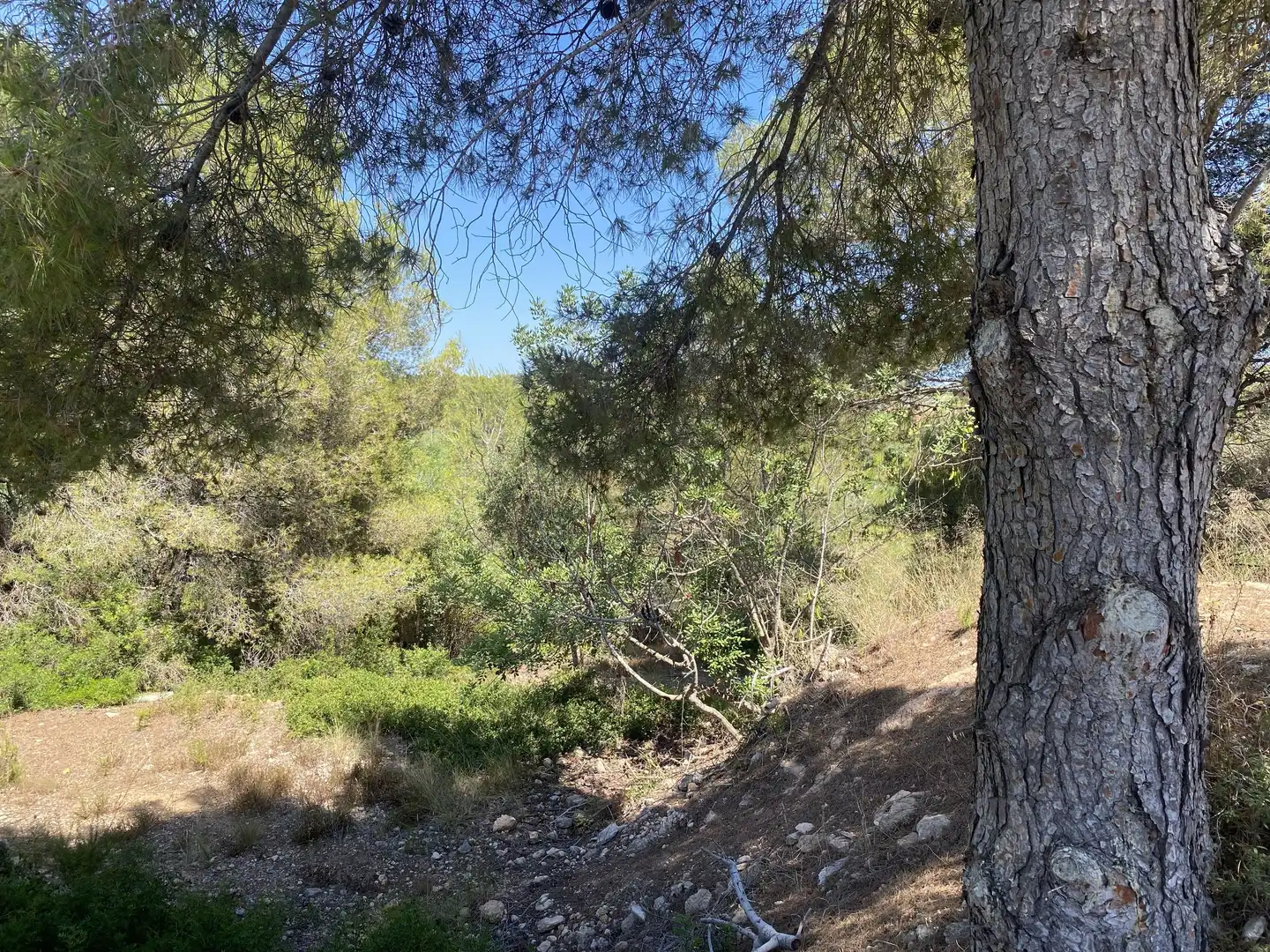 Residential land for sale in Urbanitzacions de Llevant, imagen 28
