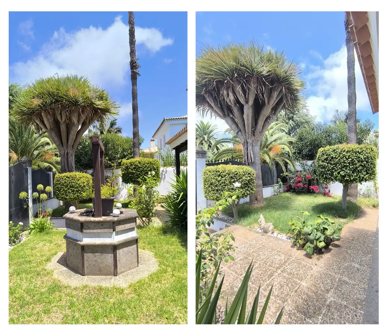 Jardí de Casa o xalet en venda en San Cristóbal de la Laguna amb Jardí privat, Terrassa i Traster