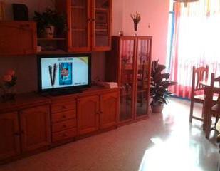 Living room of Flat to rent in  Granada Capital  with Terrace, Furnished and Washing machine