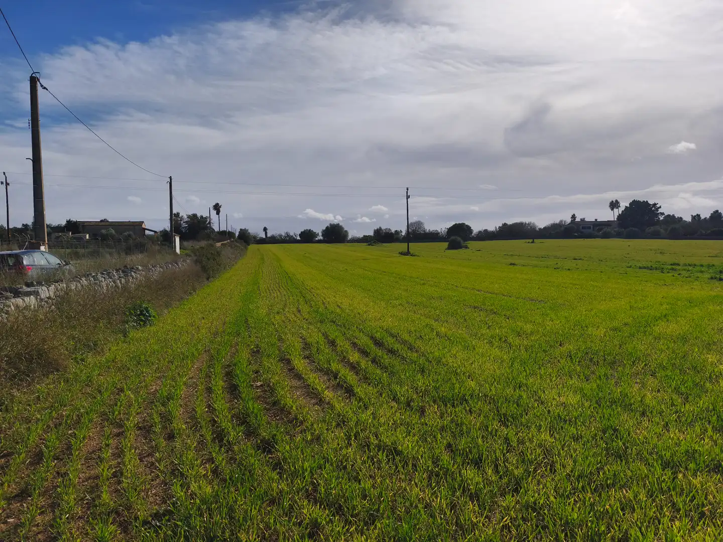 Terreno rustico in vendita a Lloret de Vistalegre, imagen 4