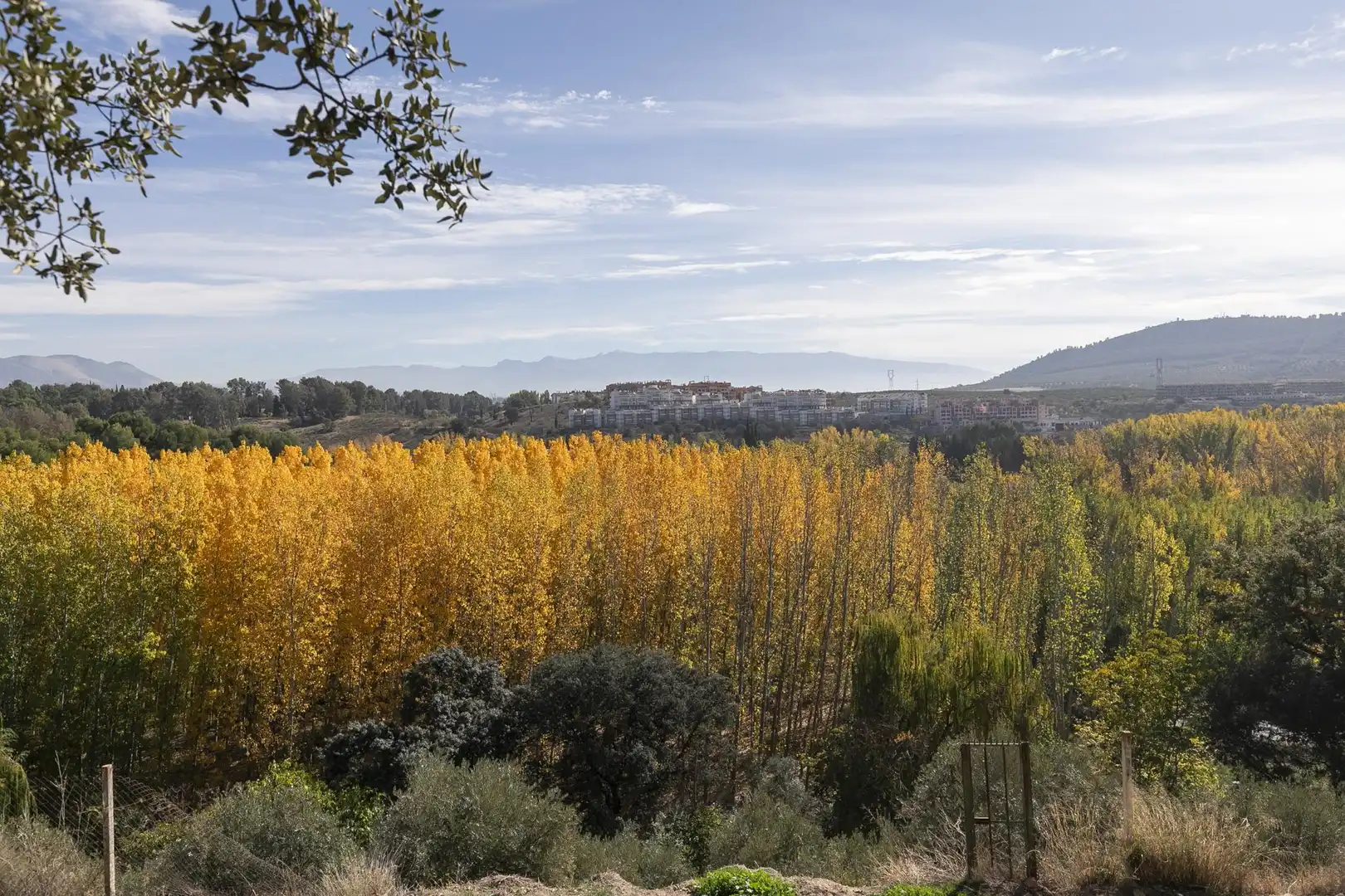 Finca rústica en venta en Maracena