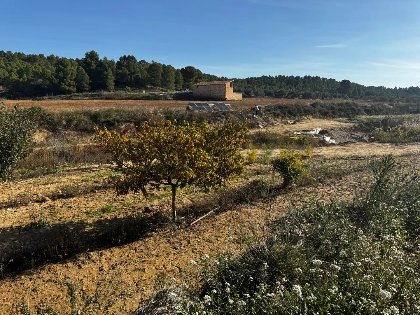 Terreno en venta en N/A, -1, Torre del Compte