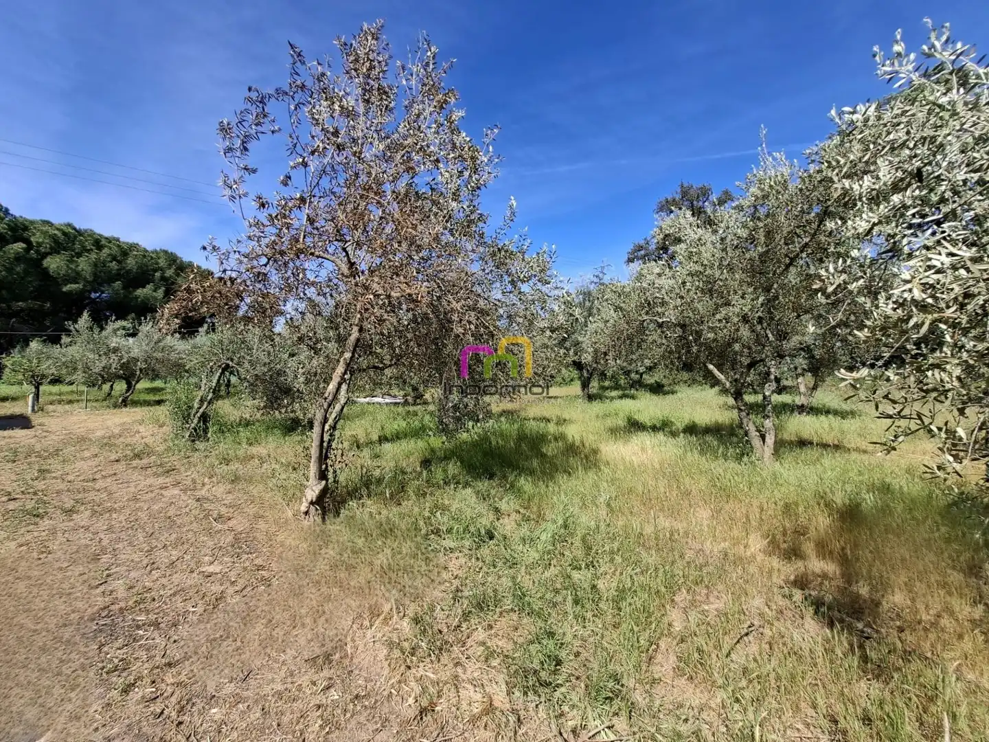 Country house zum Verkauf in Badajoz mit Terrasse, Abstellraum und Schwimmbad