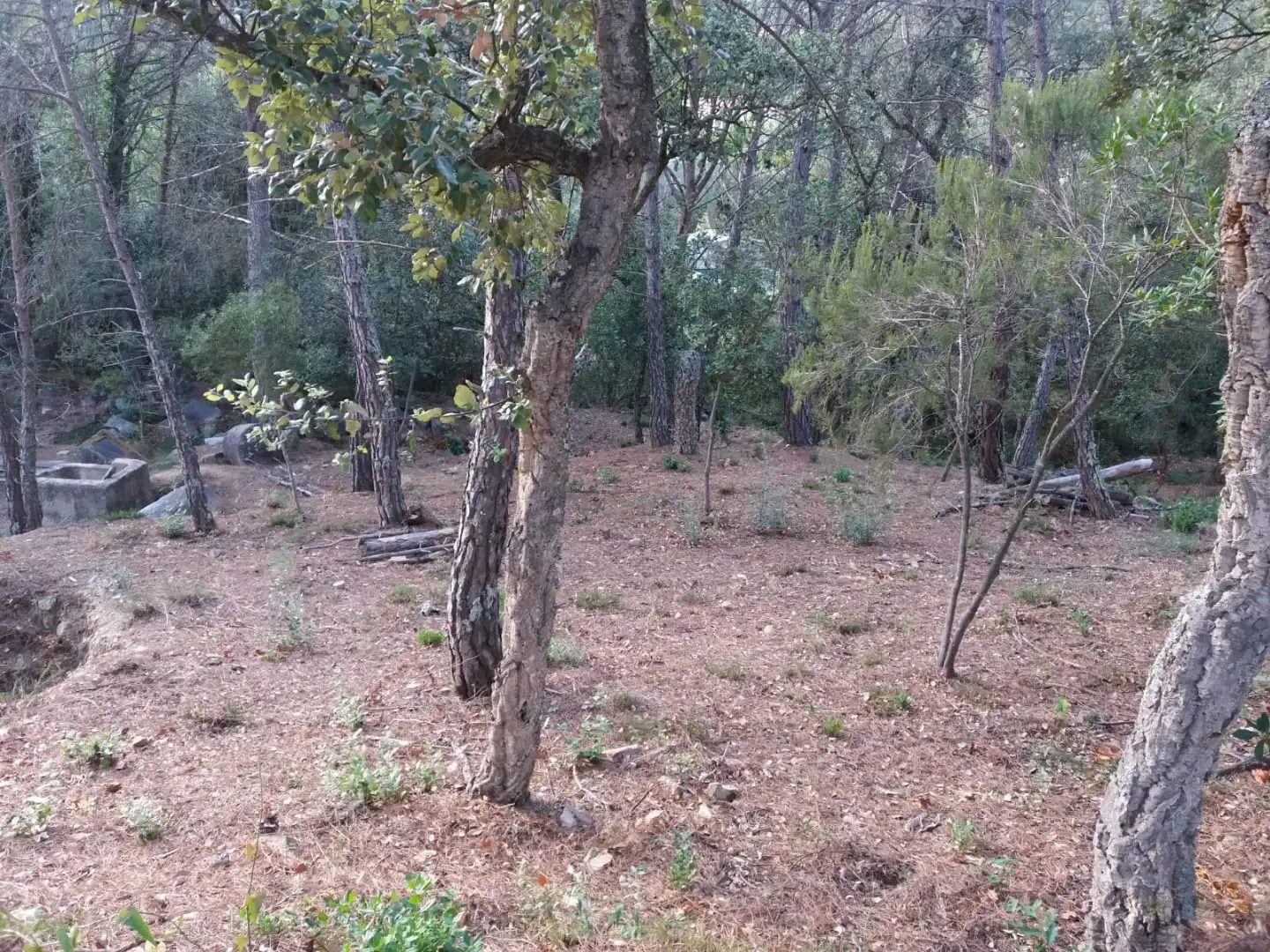 Terreno residencial en venta en Avinguda del Bell-lloc, imagen 4