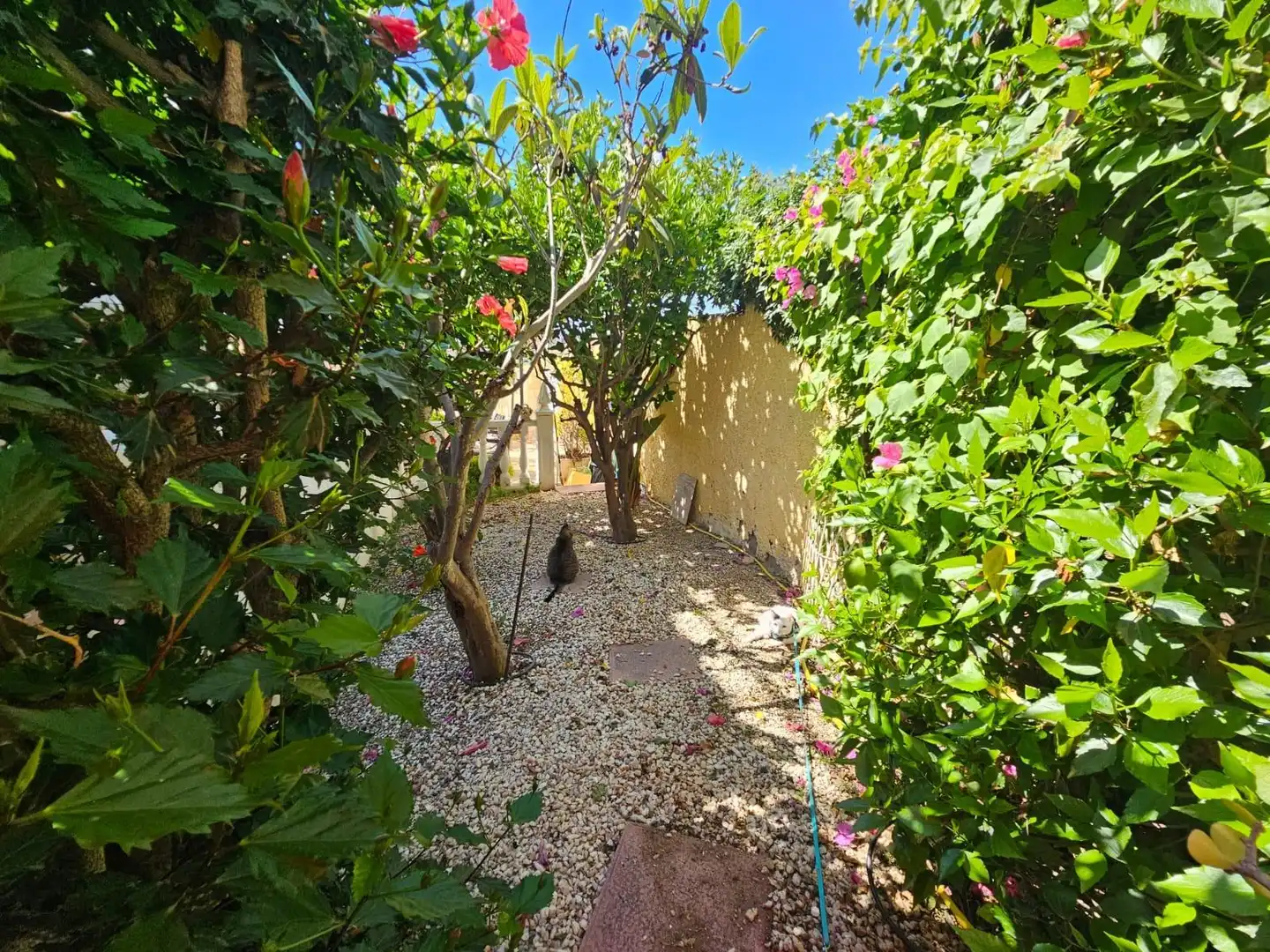 Jardín de Casa o chalet en venta en Águilas con Aire acondicionado, Jardín privado y Terraza