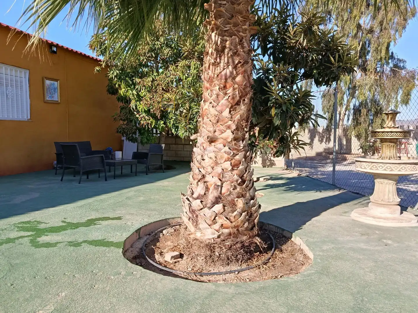Landhaus zum Verkauf in Pedanías Sur, imagen 13