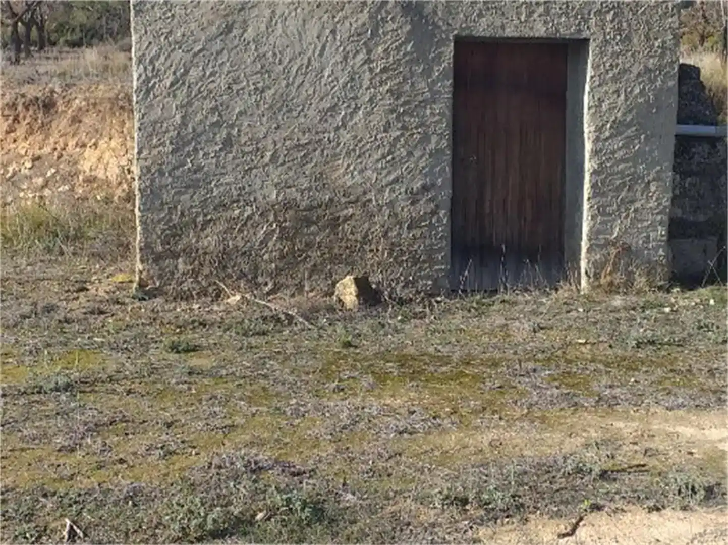 Vista exterior de Terreno en venta en L'Albi