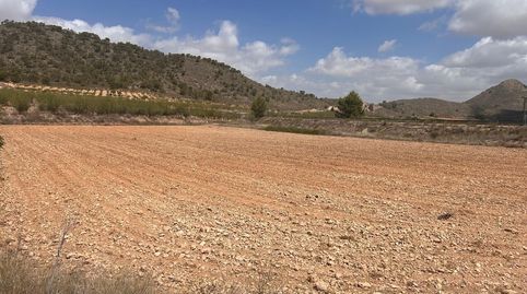 Terreno Jumilla zona Paraje Chamaleta, immagine 4