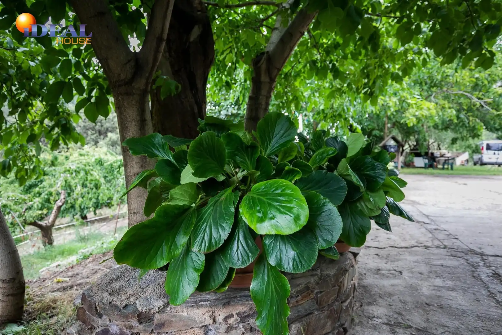 Terreni e lotti in vendita a Majadillas