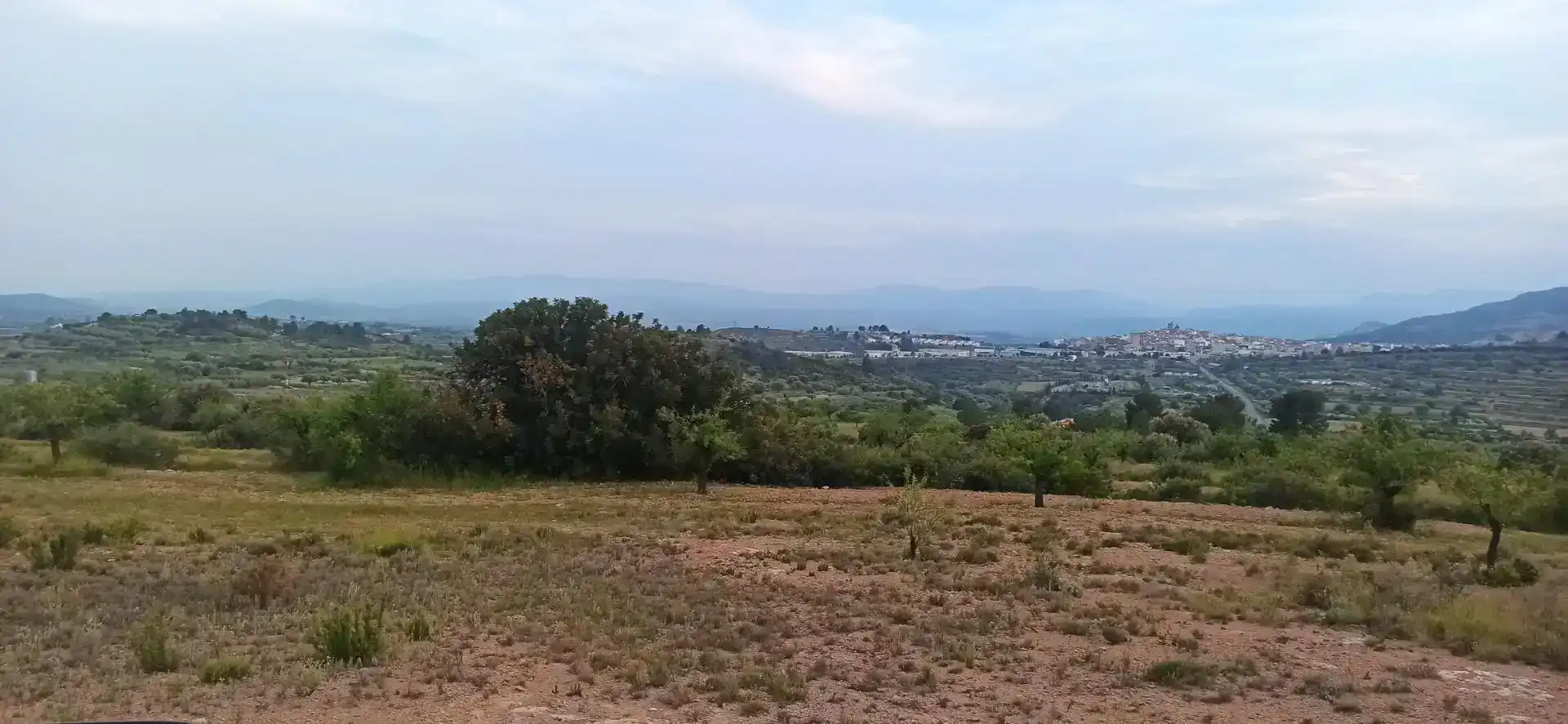 Finca rústica en venda en Andilla