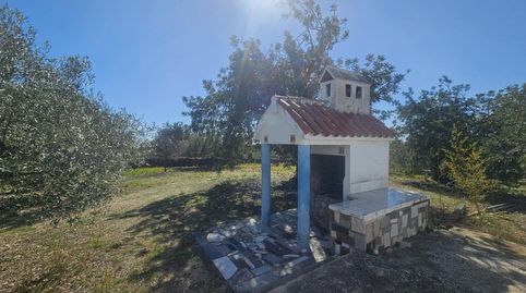 Photo 4 of Country homes for sale in Polígono 6 Parcela 206 Codonyol. Alcanar [tarrago, Alcanar, Tarragona