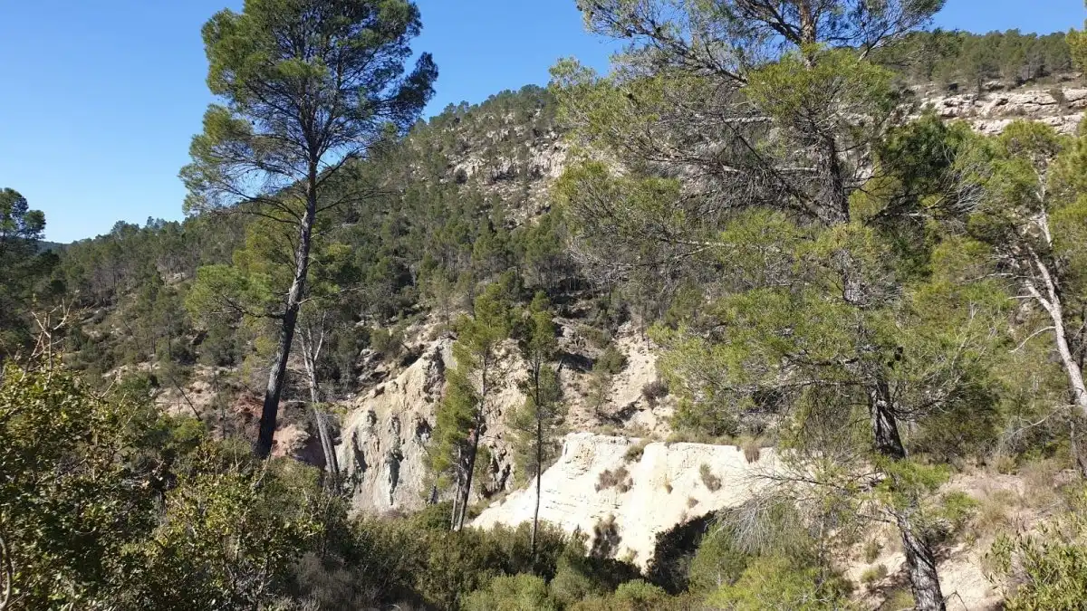 Terrain résidentiel à vendre à Requena, imagen 24