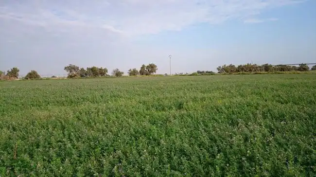 Terrenys i solars en venda a Quintanar de la Orden, imagen 3