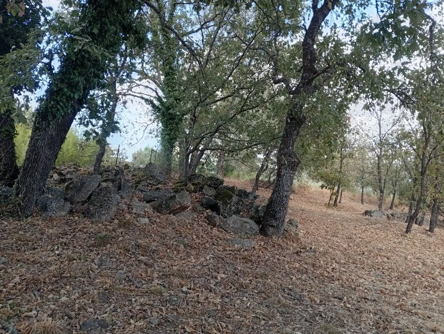 Terreni e lotti in vendita a Villanueva de la Vera, imagen 119