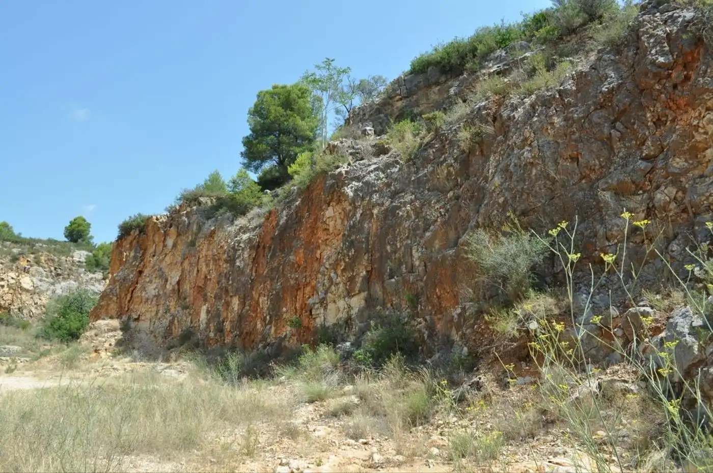 Land for sale in Camí del Barranc de la Llet, 26, Sant Llàtzer
