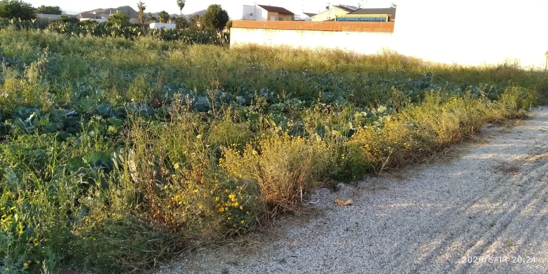 Grundstücke zum Verkauf in Murcia