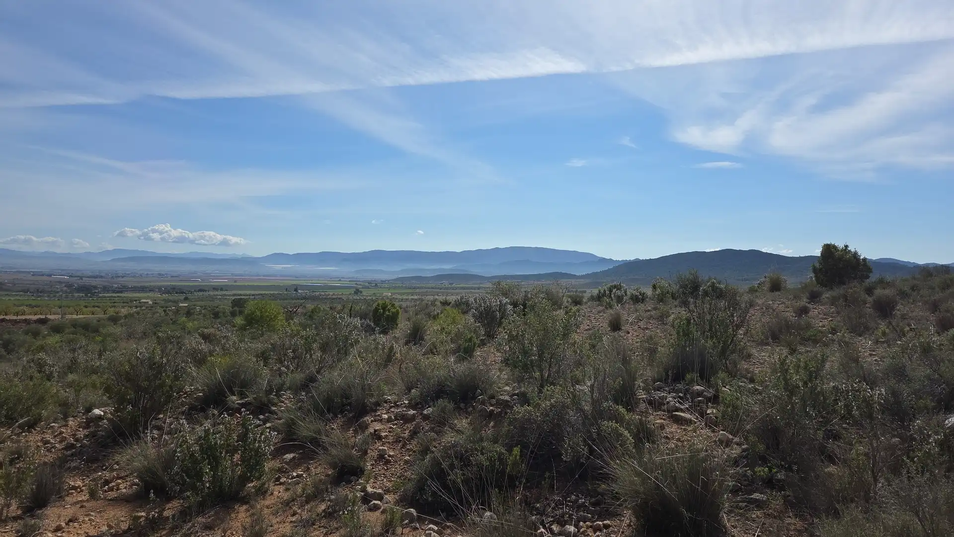 Residential land for sale in Yecla, imagen 3