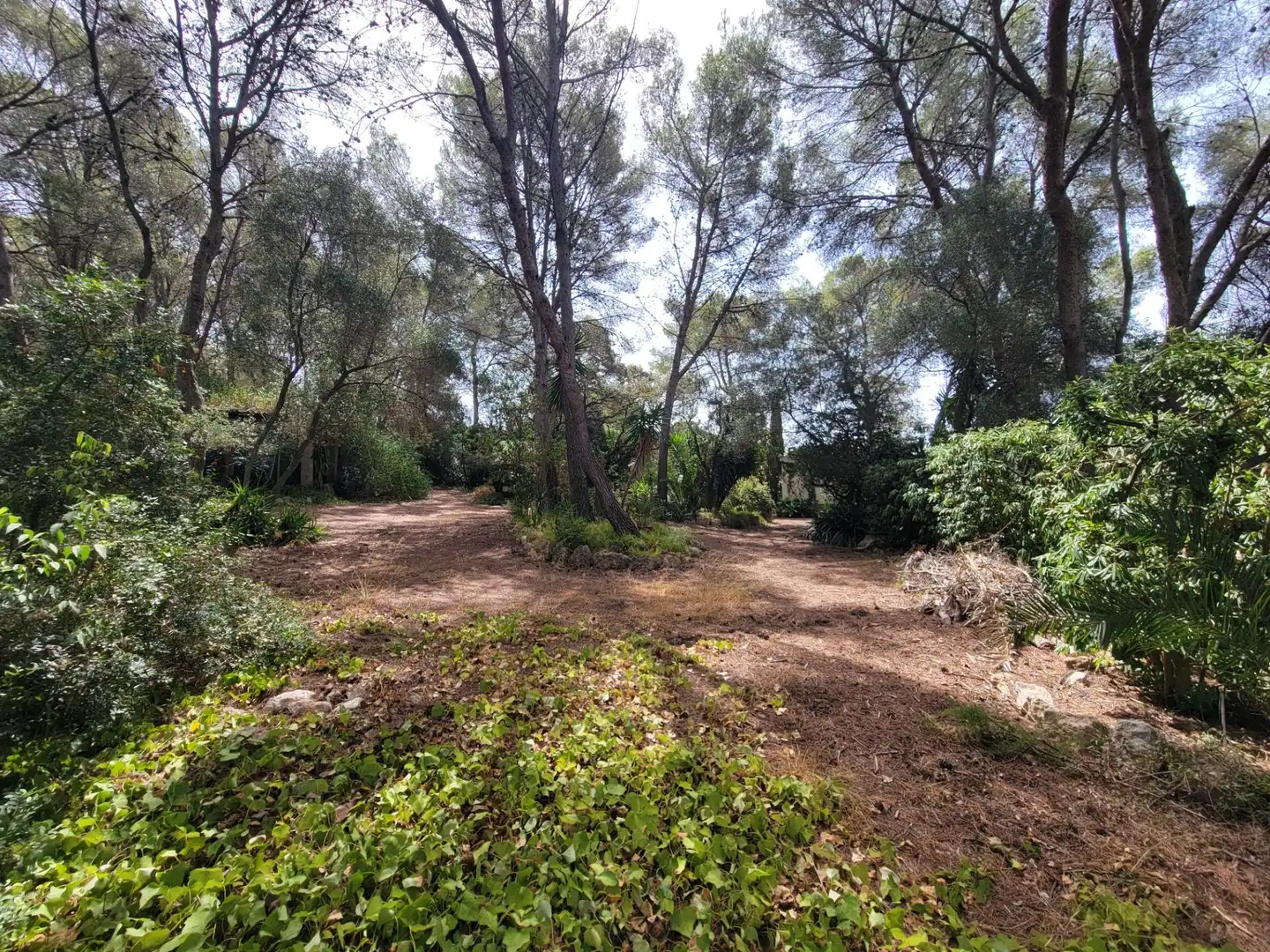 Residential for sale in El Catllar 
