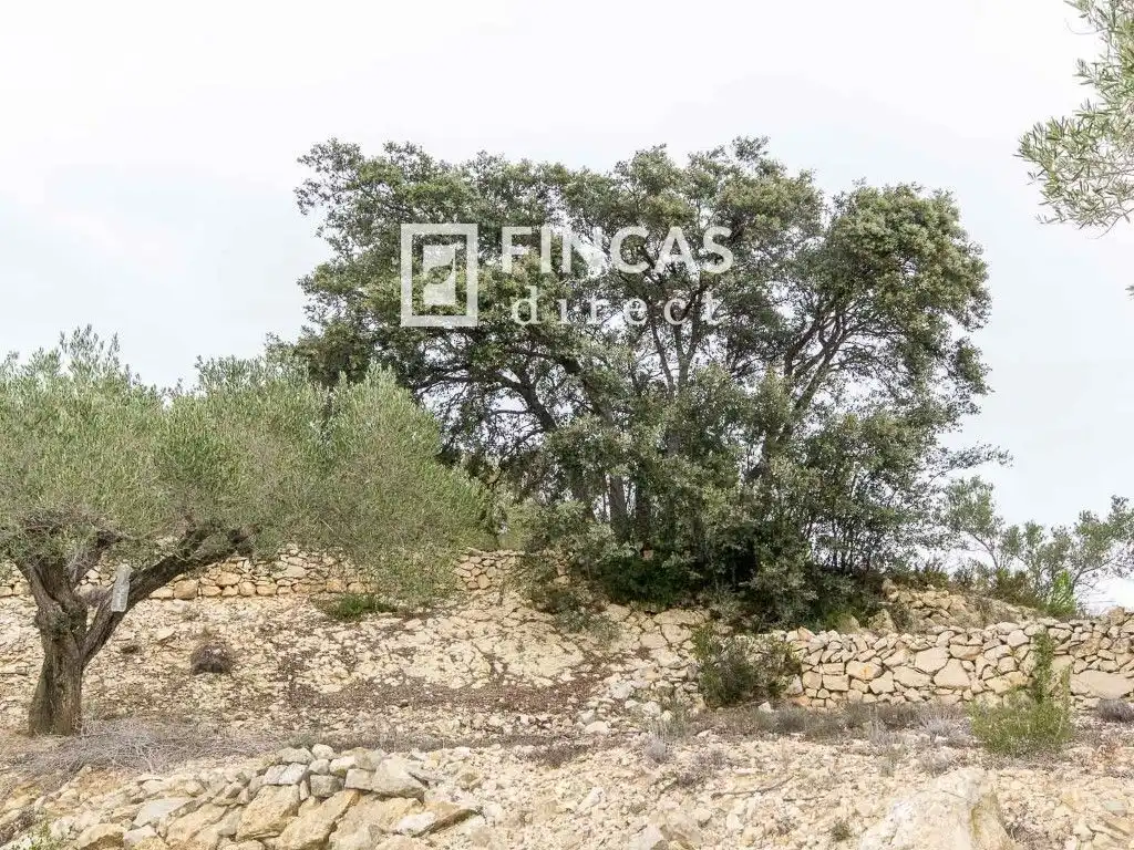 Finca rústica en venda en Tortosa amb Moblat