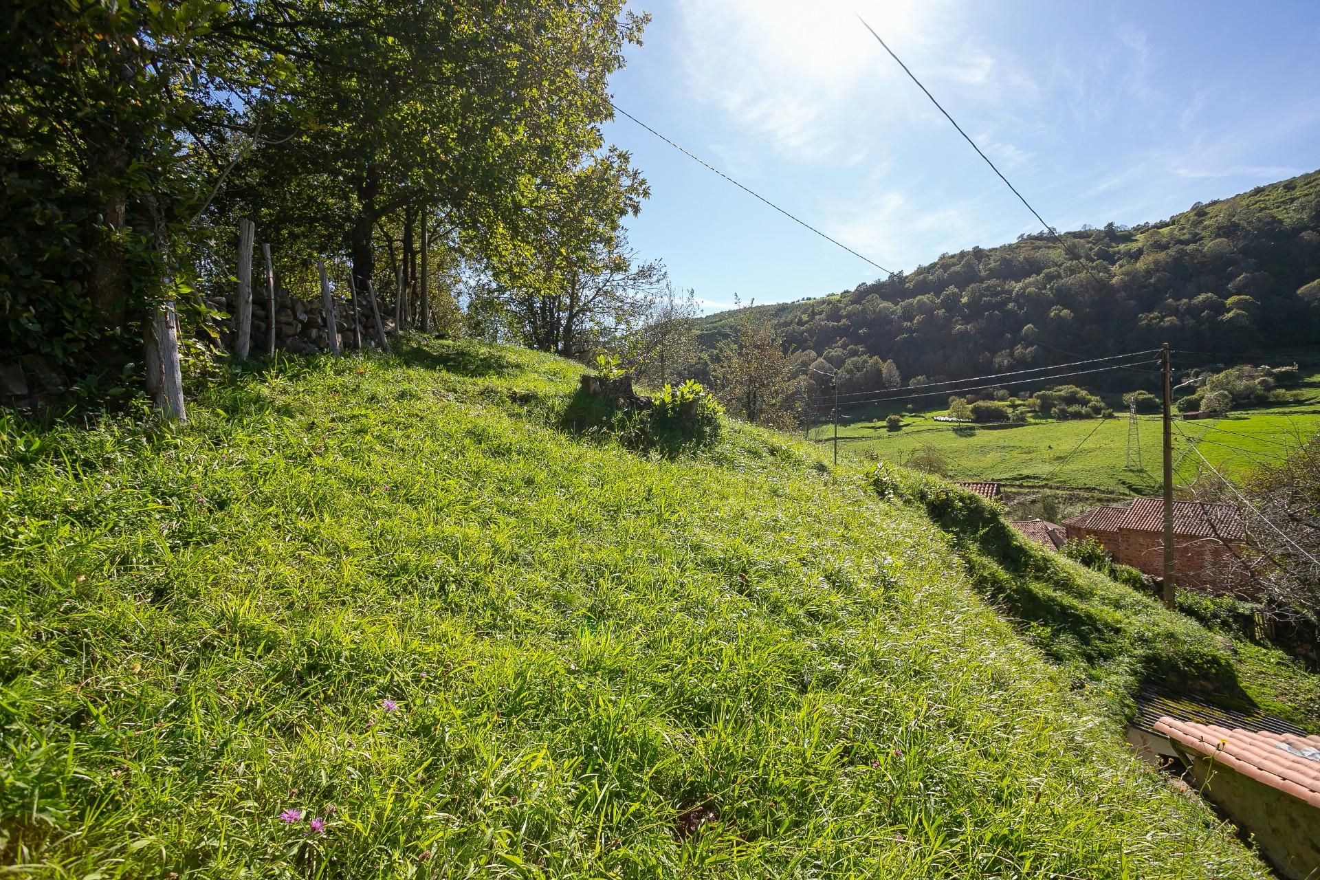 Casa o xalet en venda en Lamasón amb Jardí privat