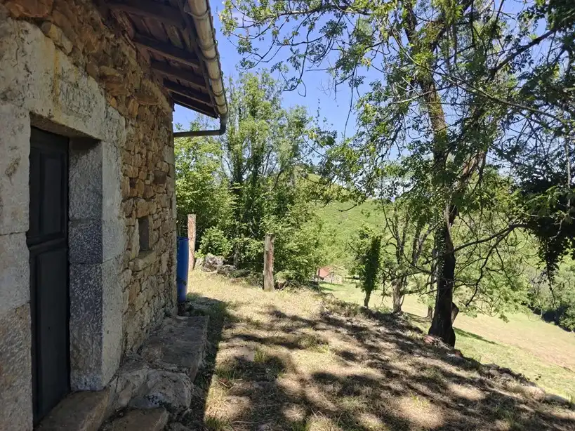 Terreno rustico in vendita a Proaza, imagen 22