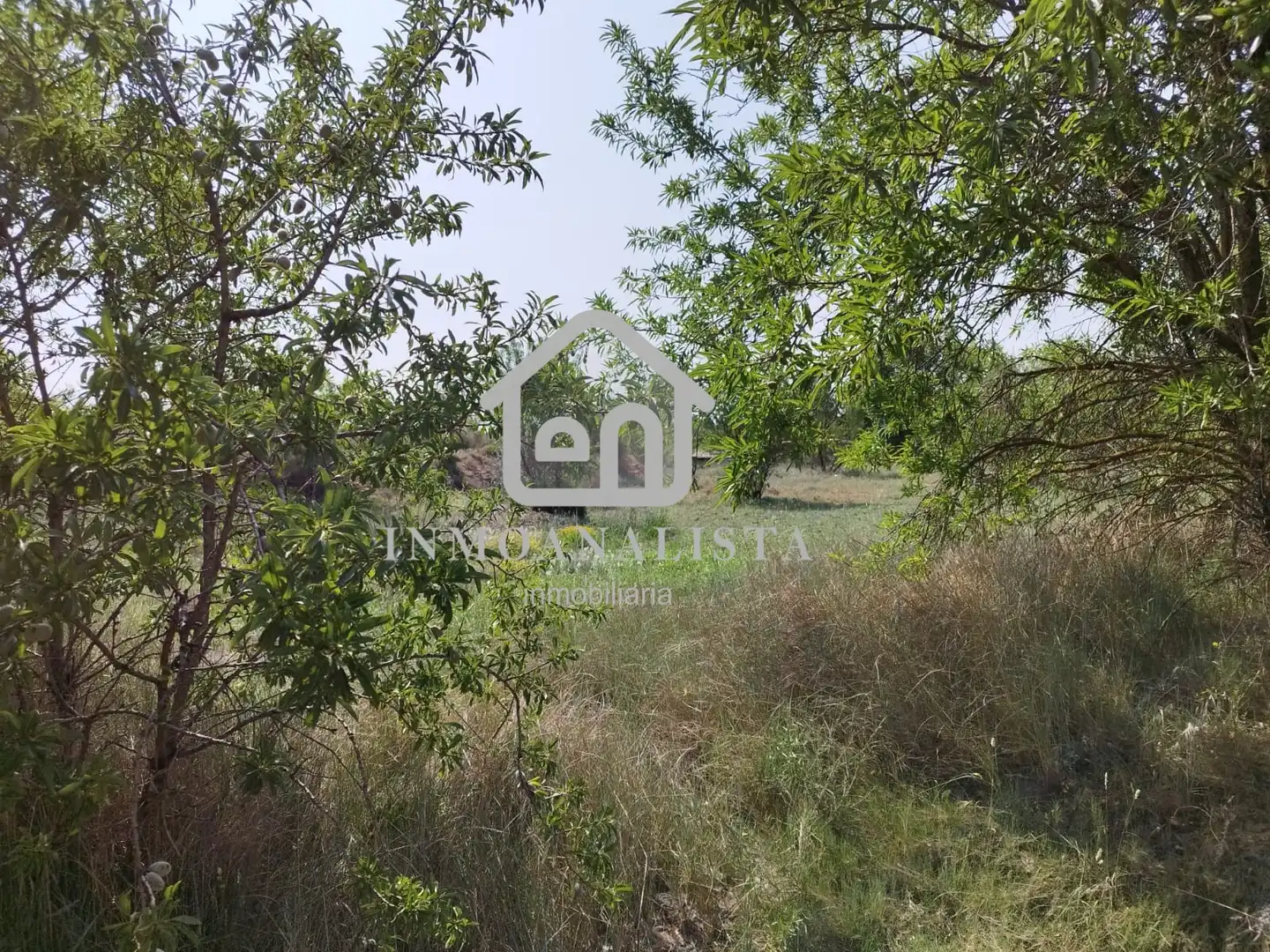 Rural land for sale in E-901, imagen 9