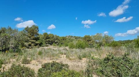 Foto 5 de Finca rústica en venta en Camí de Les Candenes, 2a, L'Ametlla de Mar pueblo, Tarragona