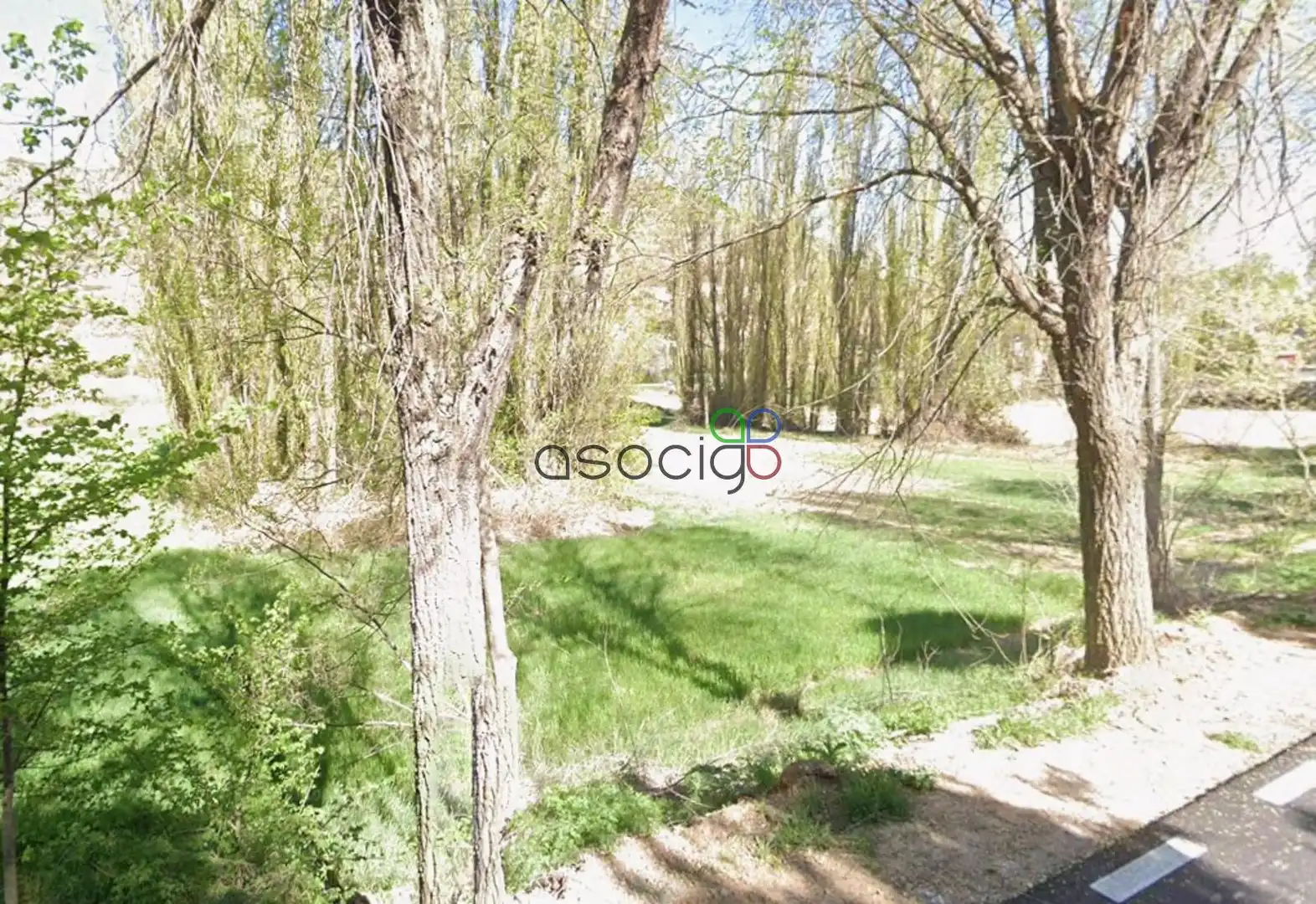 Rural land for sale in MAYOR, imagen 2