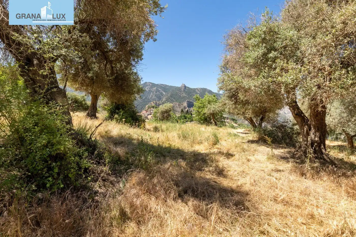 Lands and plots for sale in Calle FUENTE 16 CAÑOS, imagen 20