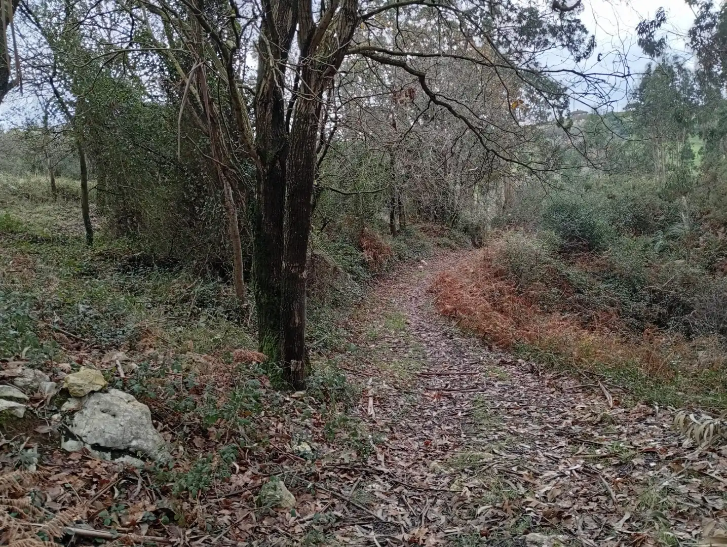 Lands and plots for sale in Cuchía, imagen 3