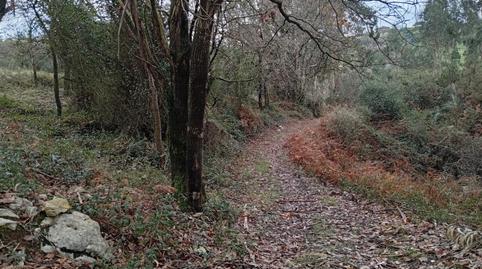 Photo 3 of Land for sale in Cuchía, Miengo