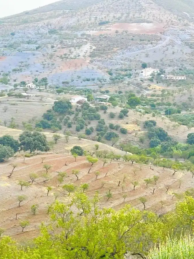 Rural land for sale in Puerto Lumbreras, imagen 4