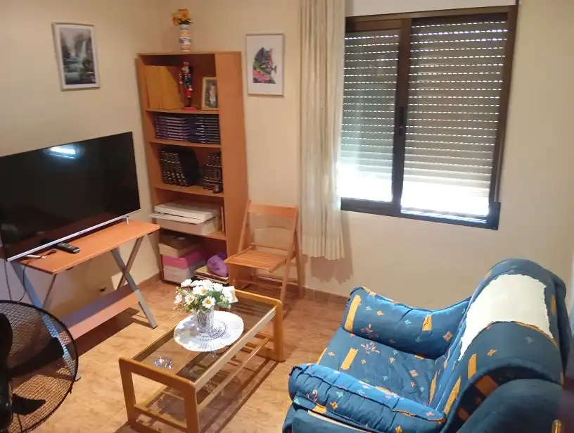 Sala d'estar de Casa o xalet en venda en Elche / Elx amb Aire condicionat, Jardí privat i Terrassa