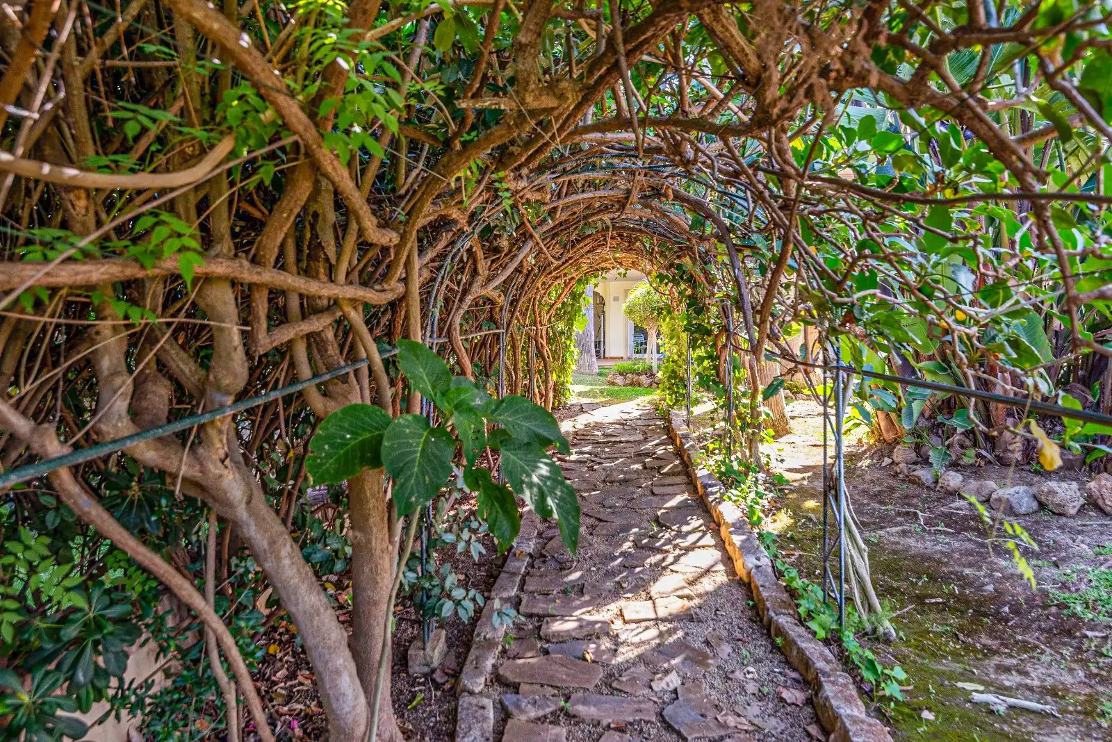Maison avec terrasse à vendre à Río Real - Los Monteros, imagen 49