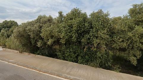 Foto 2 de Residencial en venda a Camí Dels Boverals, 20, Boverals - Saldonar, Vinaròs