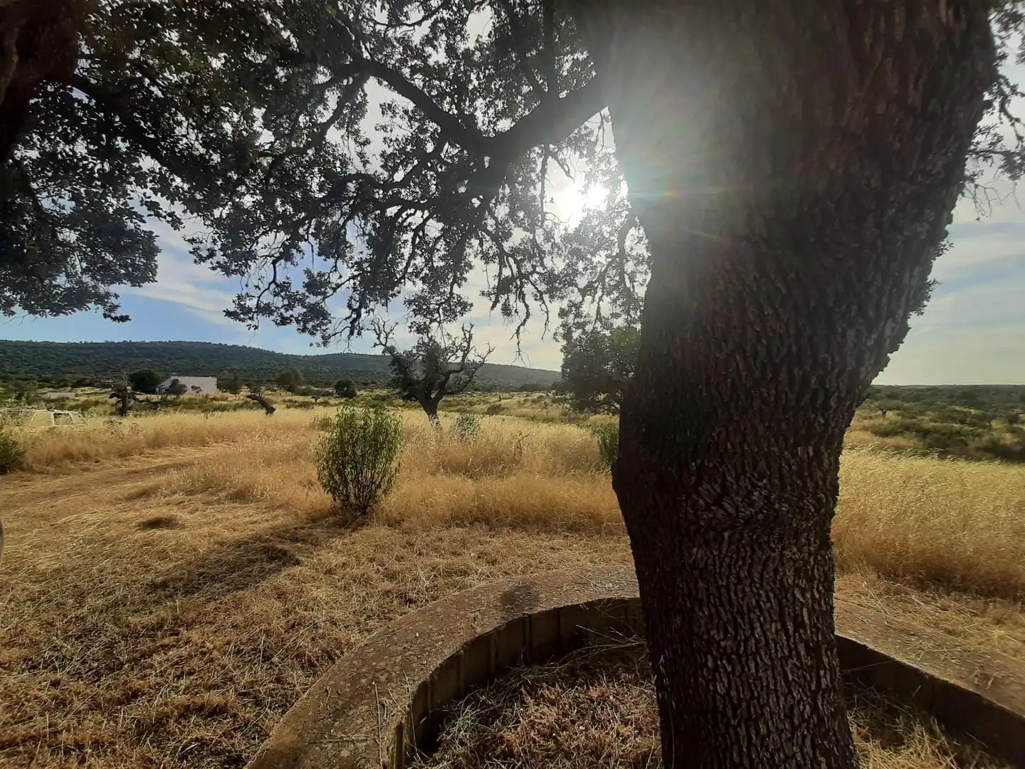 Casa o xalet en venda en Cáceres amb Calefacció, Jardí privat i Terrassa