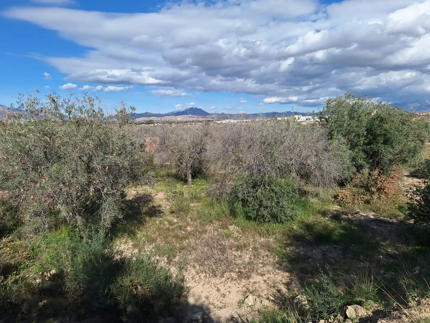 Finca rústica en venta en Alicante / Alacant con Trastero