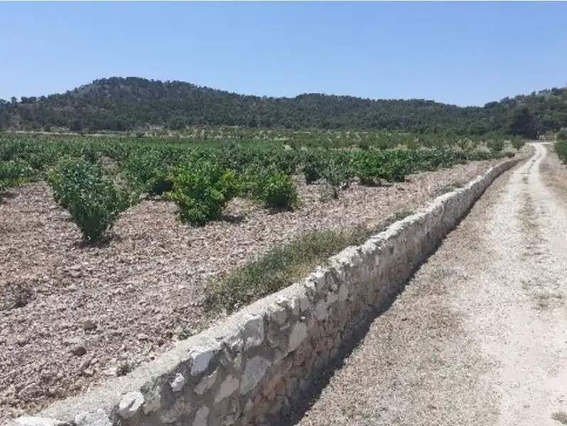 Terrenys i solars en venda a Abanilla, imagen 2