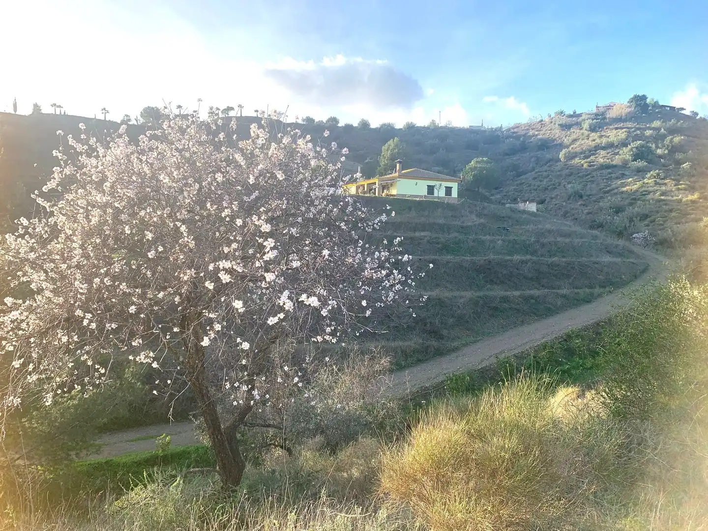 Jardí de Finca rústica en venda en Sedella amb Jardí privat, Terrassa i Traster