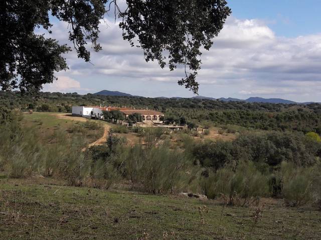 Finca rústica en Alquiler en Los Cabezos en San Vicente de Alcántara