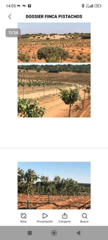 Terreno en Venta en N/A, -1 en Pedanías - Extrarradio