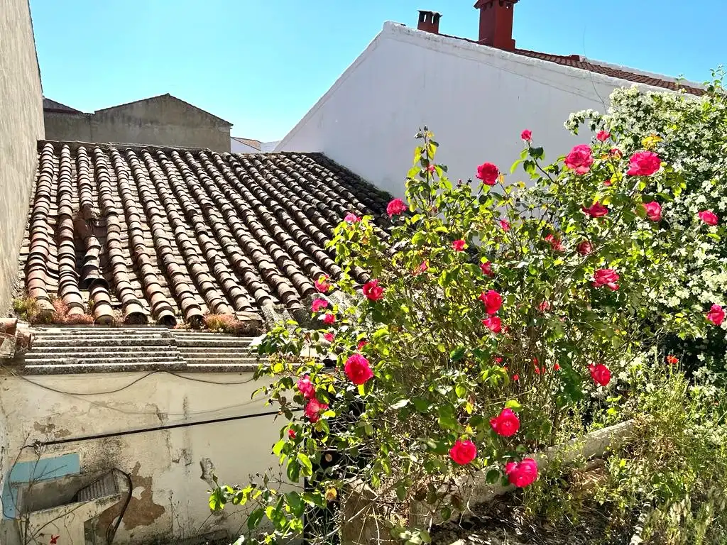 Casa o chalet en venta en Villaviciosa de Córdoba