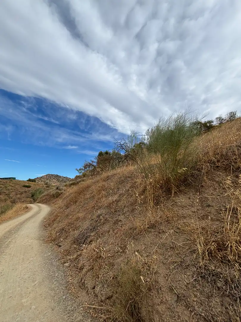Terreno en venta en Almogía