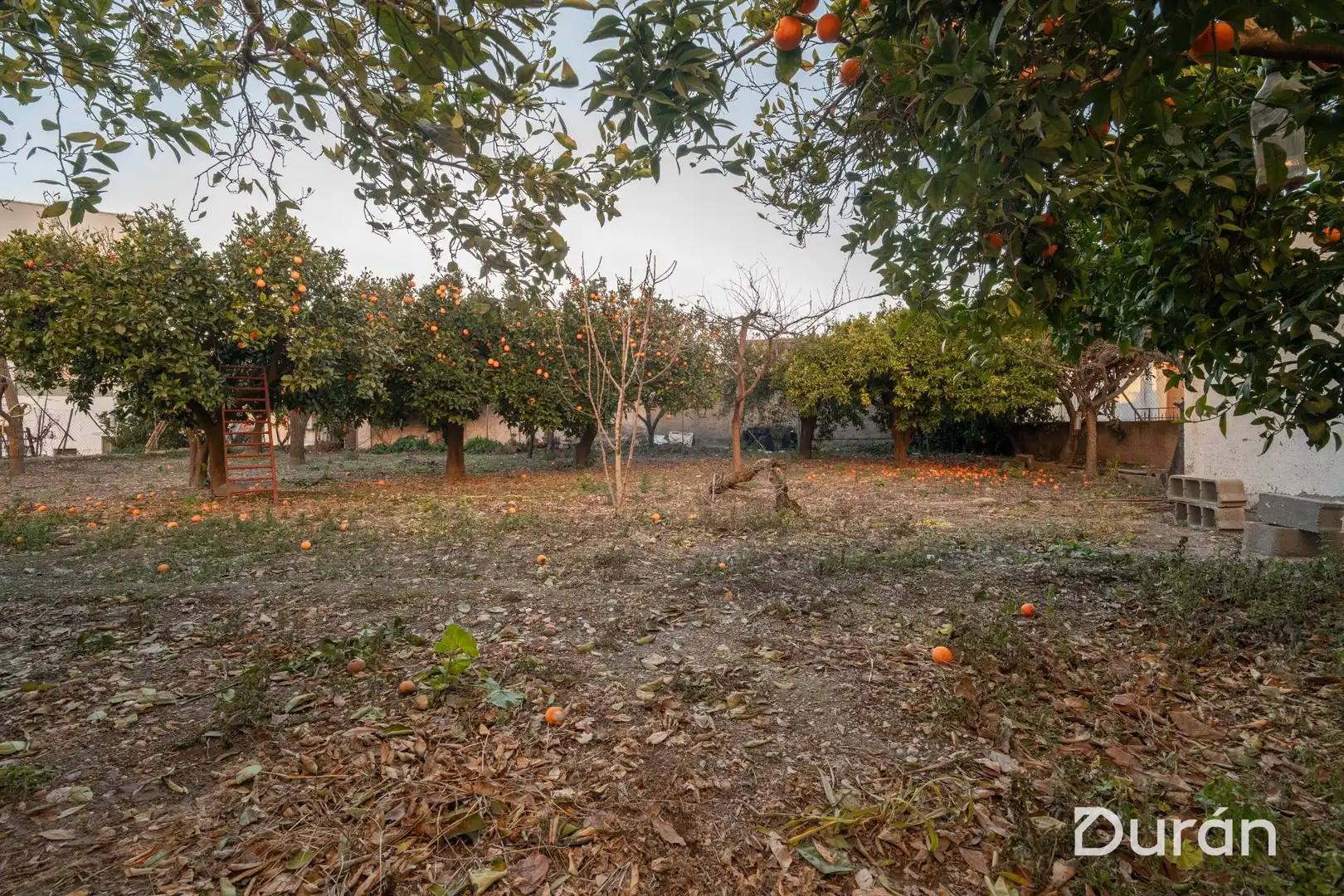 Finca rústica en venda en Alcolea amb Aire condicionat, Jardí privat i Traster