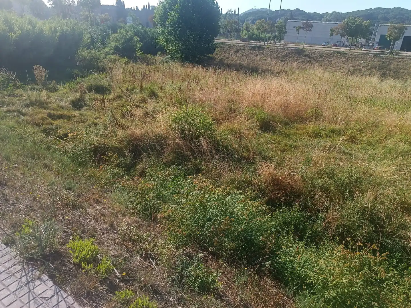 Terreny residencial en venda a Tordera pueblo, imagen 2