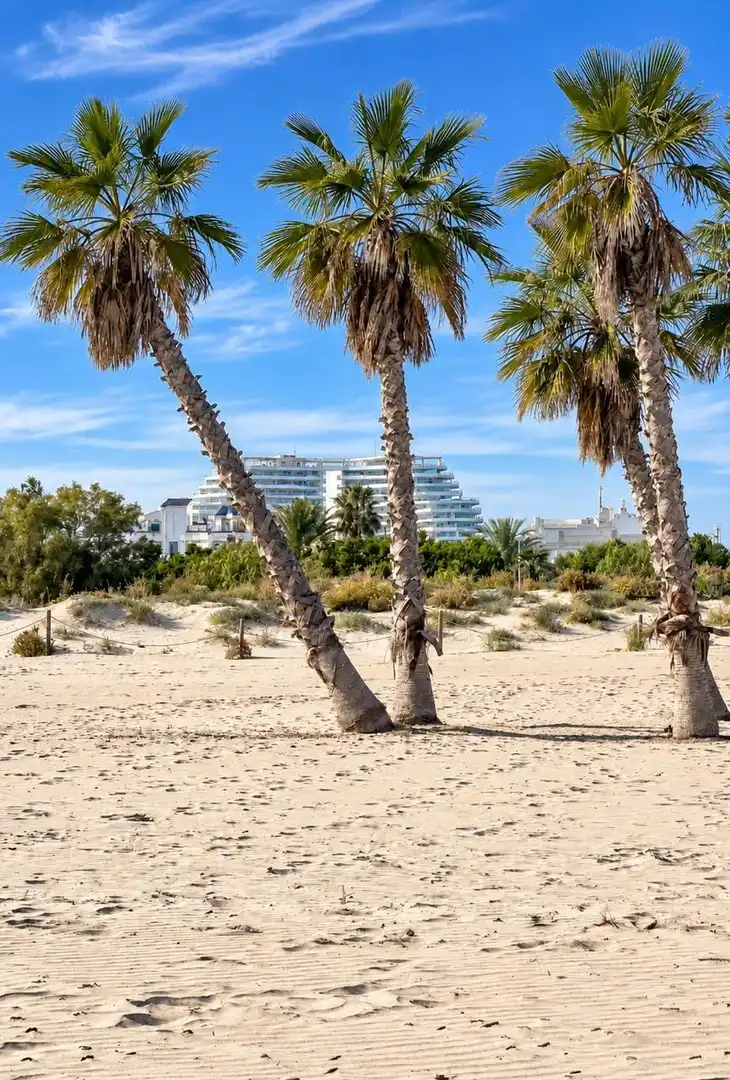 Appartement avec piscine à vendre à Canet d'En Berenguer, imagen 38
